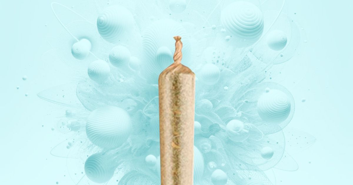 Thca Pre Rolls Smooth Pre Rolls With A Buzz